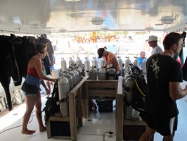 Daily Diving Trips 